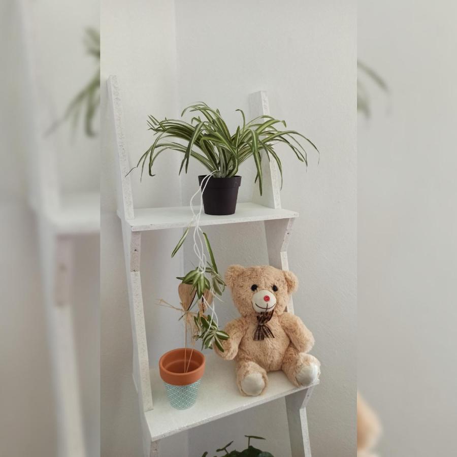Martha'S Place Drac Podgorica Ngoại thất bức ảnh